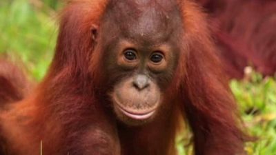 Born To Explore Season 3 Episode 15