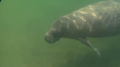 Born To Explore Season 1 Episode 1