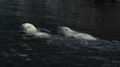 Born To Explore Season 1 Episode 2