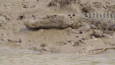 Born To Explore Season 1 Episode 11