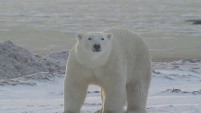 Born To Explore Season 1 Episode 17