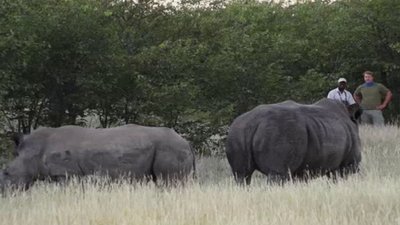 Born To Explore Season 1 Episode 26