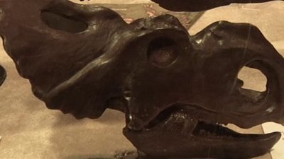 Born To Explore Season 1 Episode 10