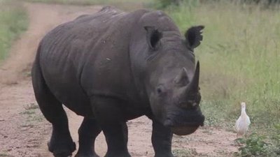 Born To Explore Season 3 Episode 16