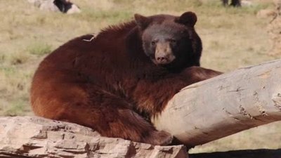 Born To Explore Season 2 Episode 23