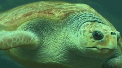 Born To Explore Season 2 Episode 21