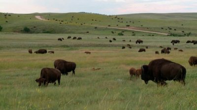 Born To Explore Season 2 Episode 18