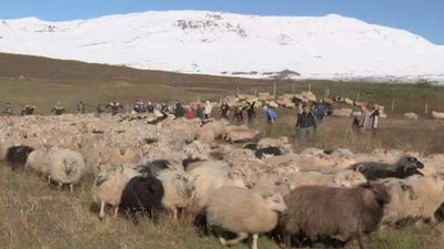 Born To Explore Season 2 Episode 17