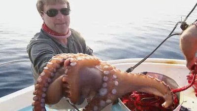 Born To Explore Season 2 Episode 10