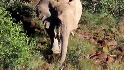 Born To Explore Season 2 Episode 7