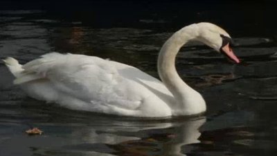 Born To Explore Season 2 Episode 3