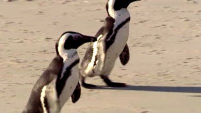 Born To Explore Season 2 Episode 15