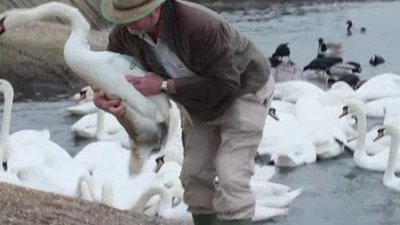 Born To Explore Season 4 Episode 2