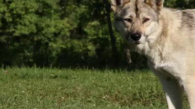 Born To Explore Season 4 Episode 14