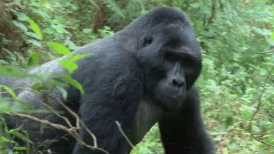 Born To Explore Season 4 Episode 12