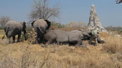 Born To Explore Season 4 Episode 10