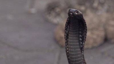 Born To Explore Season 4 Episode 6