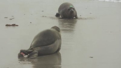 Born To Explore Season 4 Episode 5