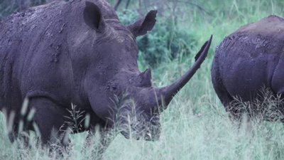 Born To Explore Season 2 Episode 20