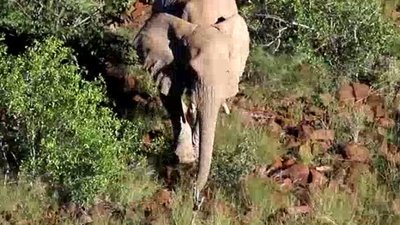 Born To Explore Season 2 Episode 2