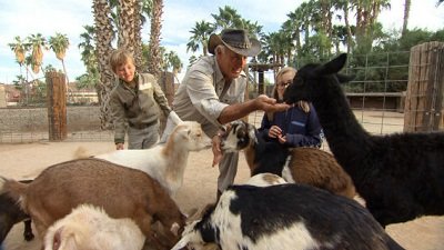 Jack Hanna's Wild Countdown Season 5 Episode 21
