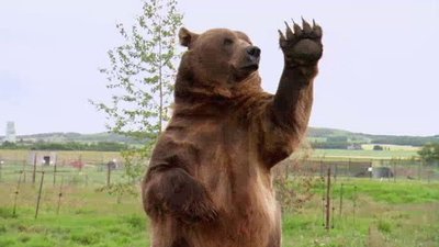 Jack Hanna's Wild Countdown Season 1 Episode 2