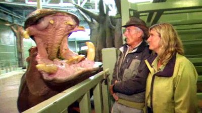 Jack Hanna's Wild Countdown Season 1 Episode 14