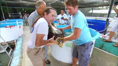 Jack Hanna's Wild Countdown Season 1 Episode 6