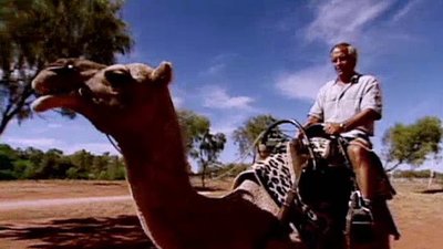 Jack Hanna's Wild Countdown Season 2 Episode 8