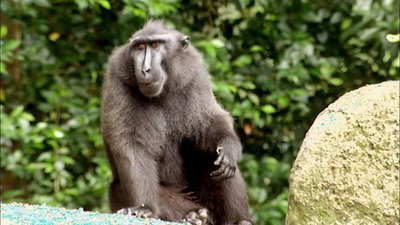 Jack Hanna's Wild Countdown Season 2 Episode 4