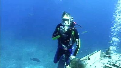 Jack Hanna's Wild Countdown Season 1 Episode 19