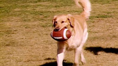 Jack Hanna's Wild Countdown Season 1 Episode 17