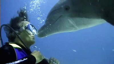 Jack Hanna's Wild Countdown Season 1 Episode 3