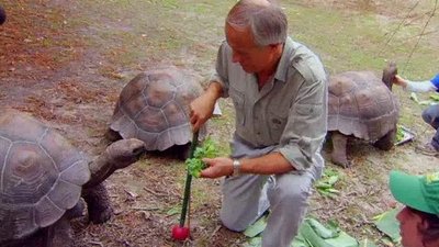 Jack Hanna's Wild Countdown Season 2 Episode 22