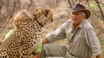 Jack Hanna's Wild Countdown Season 3 Episode 14
