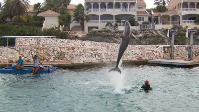 Jack Hanna's Wild Countdown Season 5 Episode 2