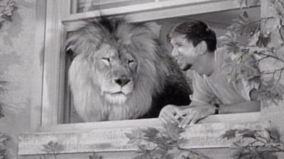 The Many Loves Of Dobie Gillis Season 2 Episode 13