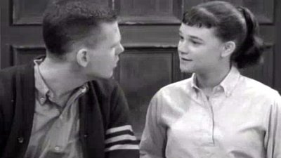 The Many Loves Of Dobie Gillis Season 3 Episode 26