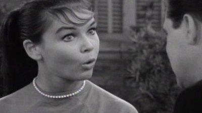 The Many Loves Of Dobie Gillis Season 4 Episode 9