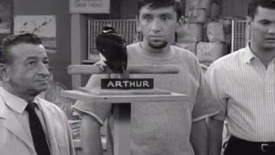 The Many Loves Of Dobie Gillis Season 4 Episode 10