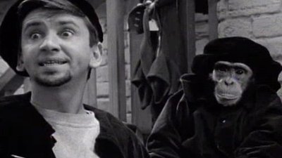 The Many Loves Of Dobie Gillis Season 4 Episode 25