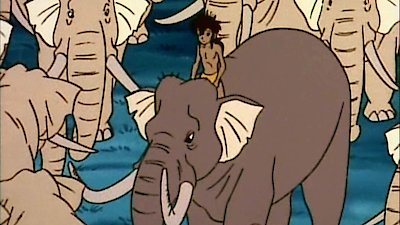 The Jungle Book: Adventures of Mowgli Season 1 Episode 50