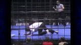 Coal Miner's Glove Steel Cage Tuxedo Loser Leaves Town Match 