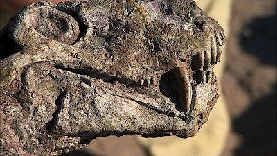 Your Inner Fish Season 1 Episode 2