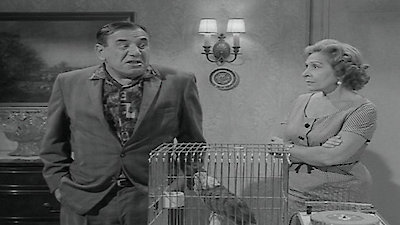 Car 54, Where Are You? Season 2 Episode 10