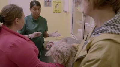 Puppy Love Season 1 Episode 4