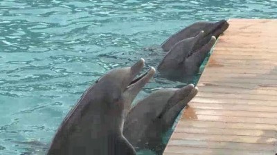 Model Latina Season 5 Episode 2