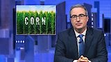 Corn