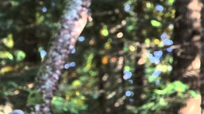 Rocky Mountain Bounty Hunters Season 1 Episode 3