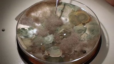 When Disaster Strikes Season 1 Episode 2